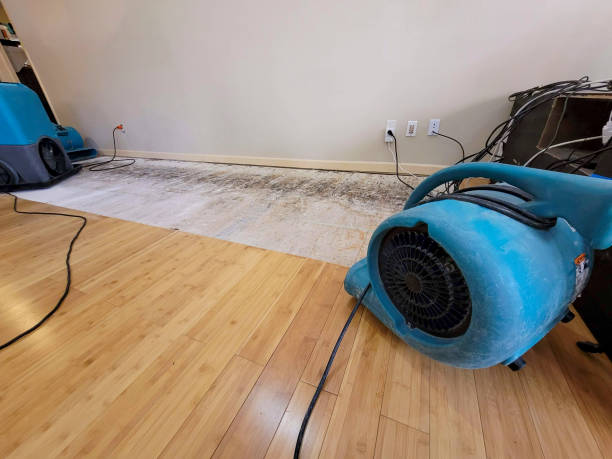 Professional Basement Flood Cleanup technician working in Princeton, TX